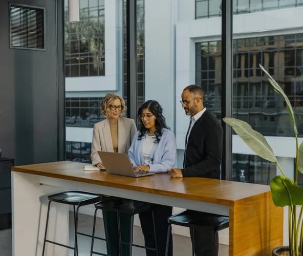 Transparency + Trust